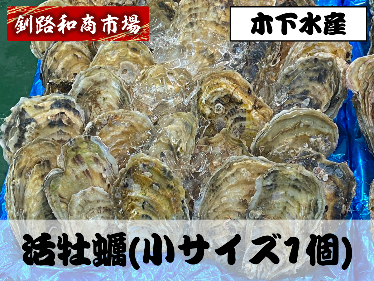 活貝カキ(小サイズ・1個)｜マルニ木下水産｜仙鳳趾育ちの